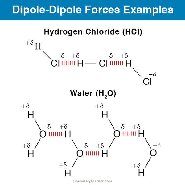 Solved Which Molecules Have Dipole Dipole Forces Check All Chegg