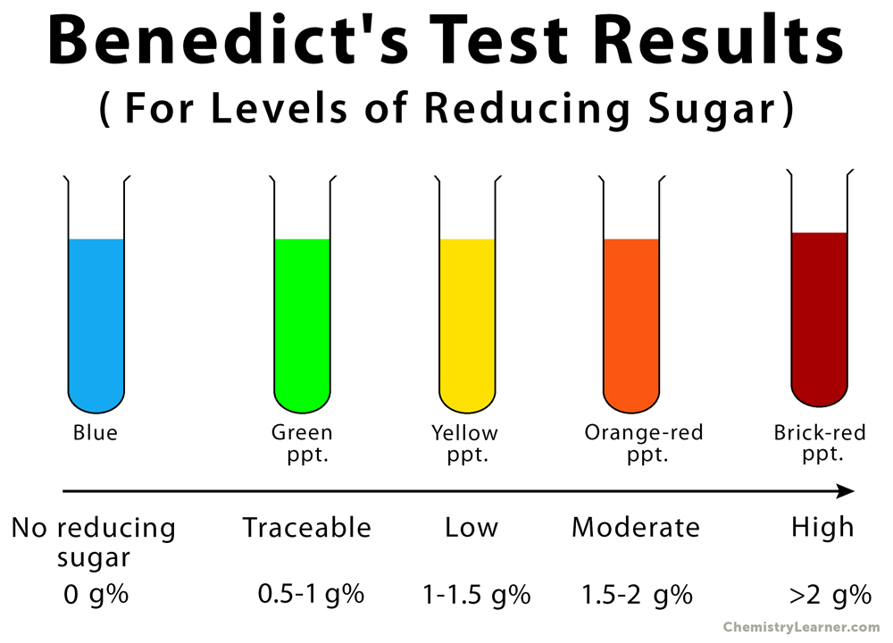 benedicts test for carbohydrates