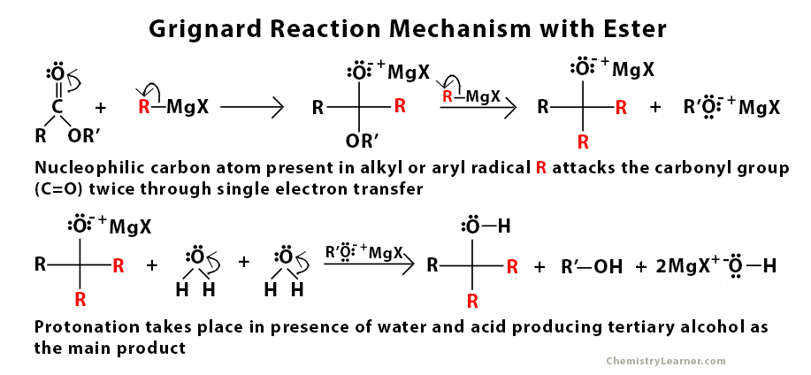 Grignard Reaction Mechanism with Ester.