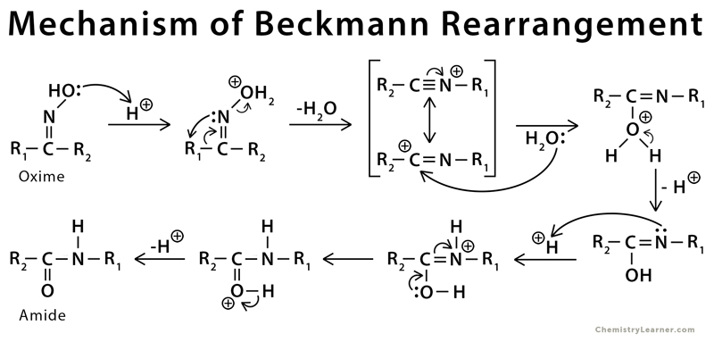Beckmann Definition, Examples, and Mechanism