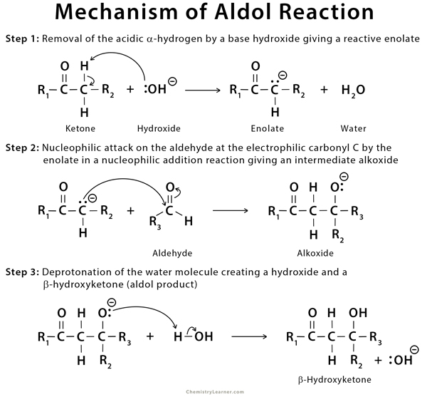 Aldol-Reaction-Mechanism