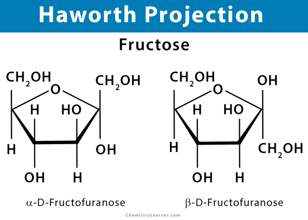 Biological Molecules (A Level) — the science sauce