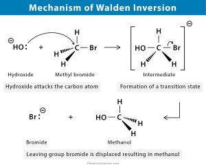 inversion walden