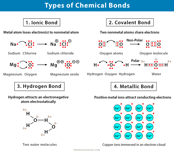 types of chemical bonds assignment quizlet