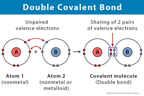 Double Covalent Bond: Definition and Examples