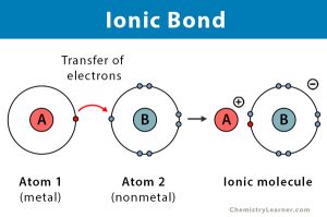 Ionic Bond: Facts, Definition, Properties, Examples, & Diagrams