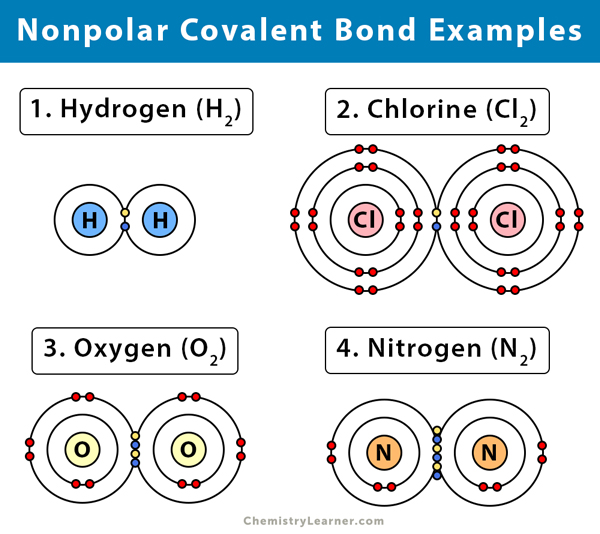 With polar bonds the atom with the higher electronegativity will pull the e...