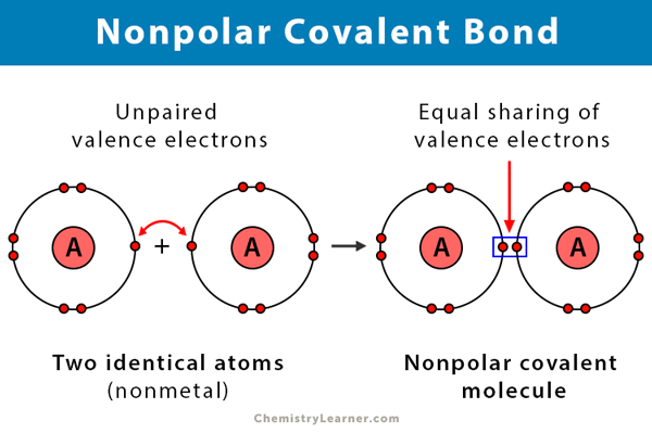 Polar Covalent Bond Diagram