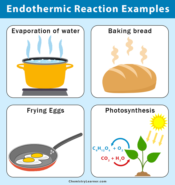 Endothermic Reaction: Definition, Equation, Graph & Examples