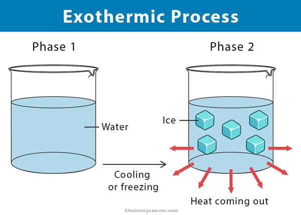 Exothermic Chemical Reaction Examples
