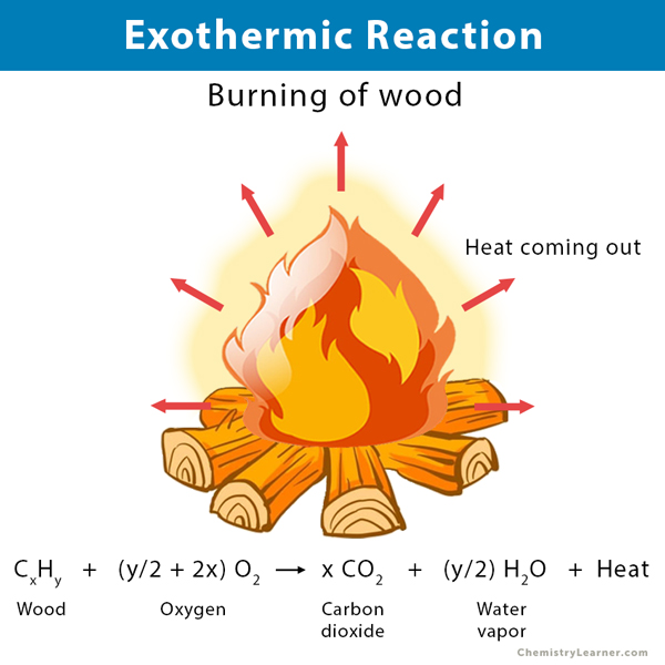 Endothermic And Exothermic Reaction Examples