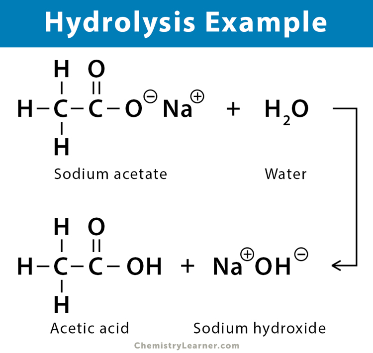 อะไร คือ Hydrolysis - ข้อมูลและข่าวสาร