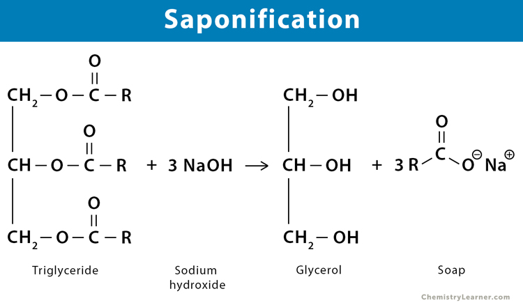 Saponification: Definition, Examples, Mechanism, & Application