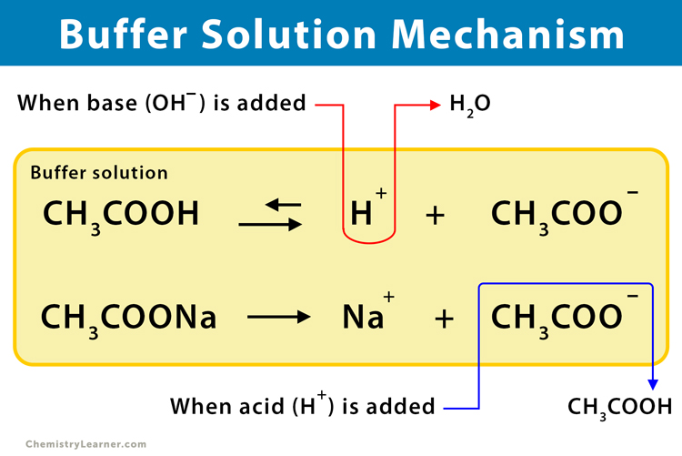 Buffer System in Chemistry  Definition, Function & Examples