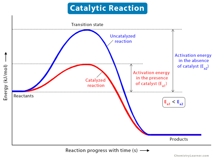 Catalytic Reaction (Catalysis): Definition, Types, & Mechanism