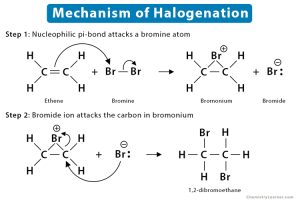 case study on industrial halogenation process