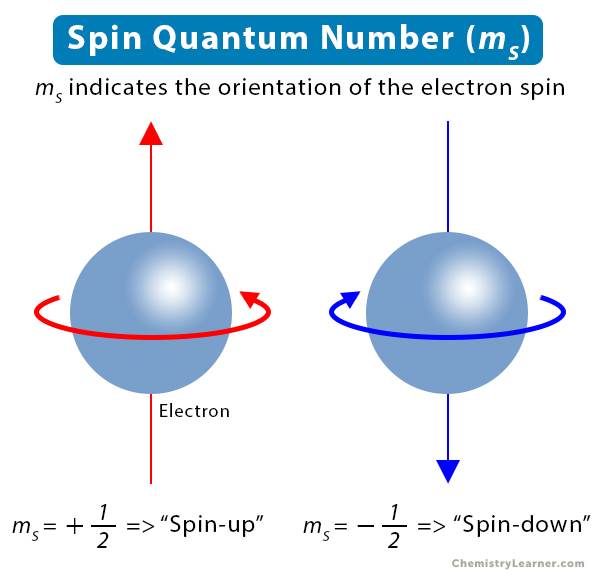 عدد الكم  المغزلي (ms) Spin Quantum Number Spin-Quantum-Number