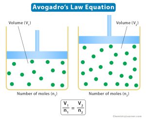 avogadro's hypothesis definition chemistry