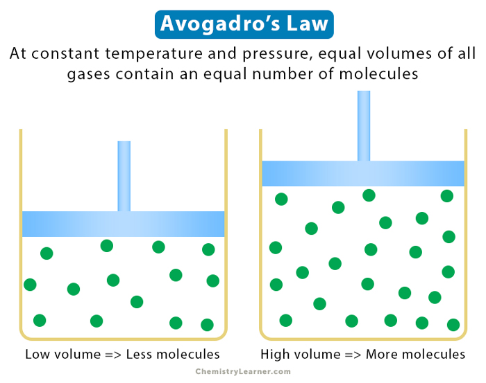 state avogadro's hypothesis class 11