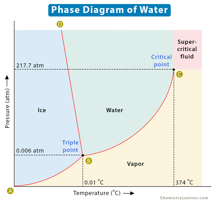 chemistry homework reading the phase diagram