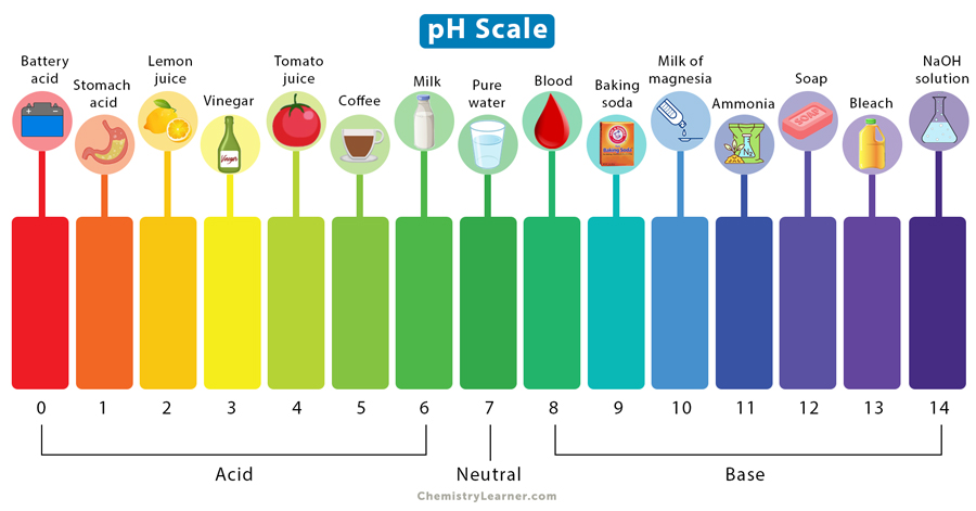 pH Scale: Definition, Chart, Values, & Range