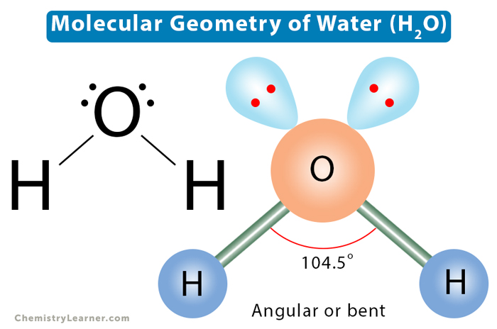 H2O Lewis Structure - Drawing Method of H2O Lewis Structure, Molecular  Geometry of H2O, Polarity and Hybridisation in H2O molecule, with FAQs