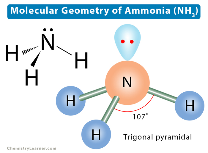 Molecular Geometry, Lewis Structure, & Bond Angle of Ammonia
