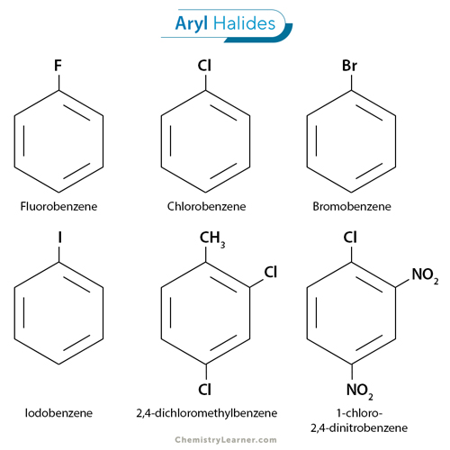 Aryl Halide: Definition, Structure, Examples, and Properties