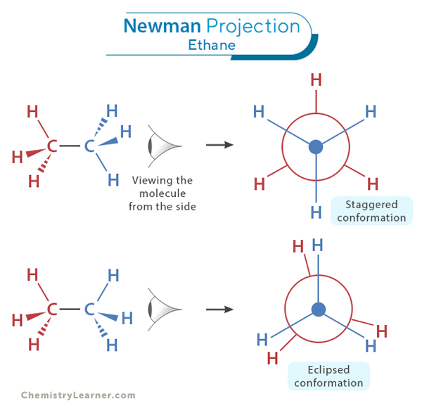 Newman Projection of Ethane