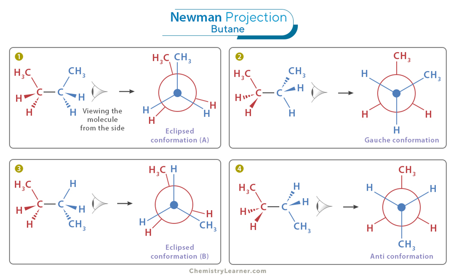 Newman Projection