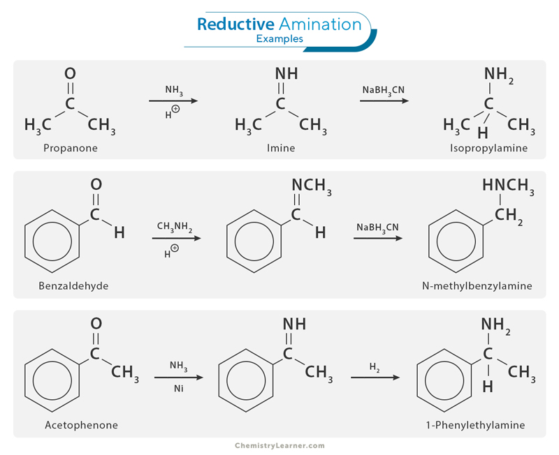 Reductive Amination Examples
