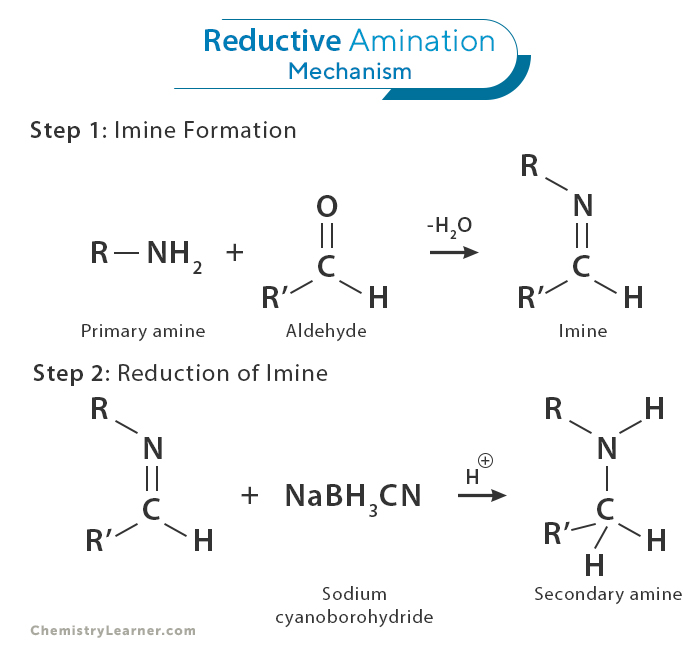 Reductive Amination