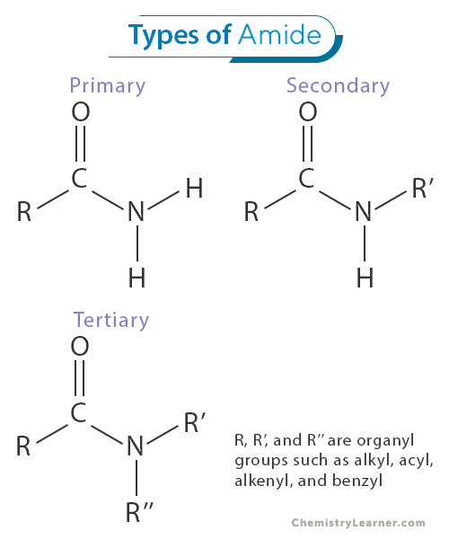 Types of Amide