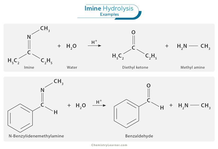 Imine Hydrolysis