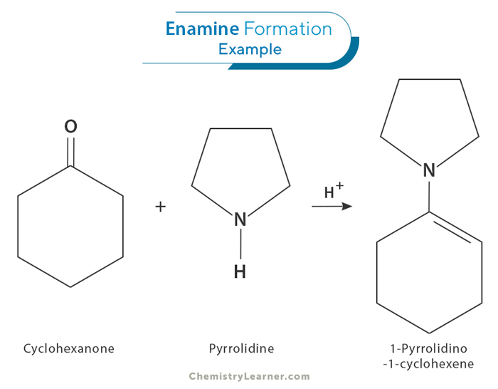 Enamine Formation