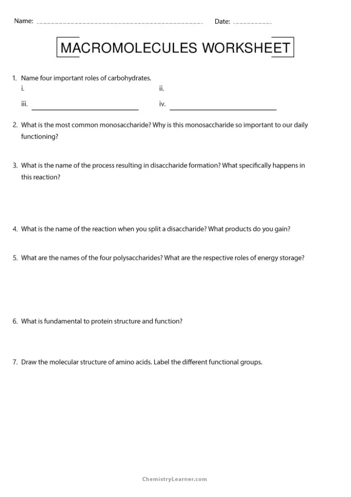 Biology Identifying Macromolecules Review Worksheet with Answers