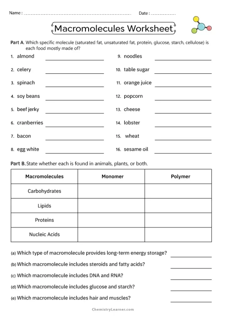Elements and Macromolecules in Organisms Worksheet with Answer Key