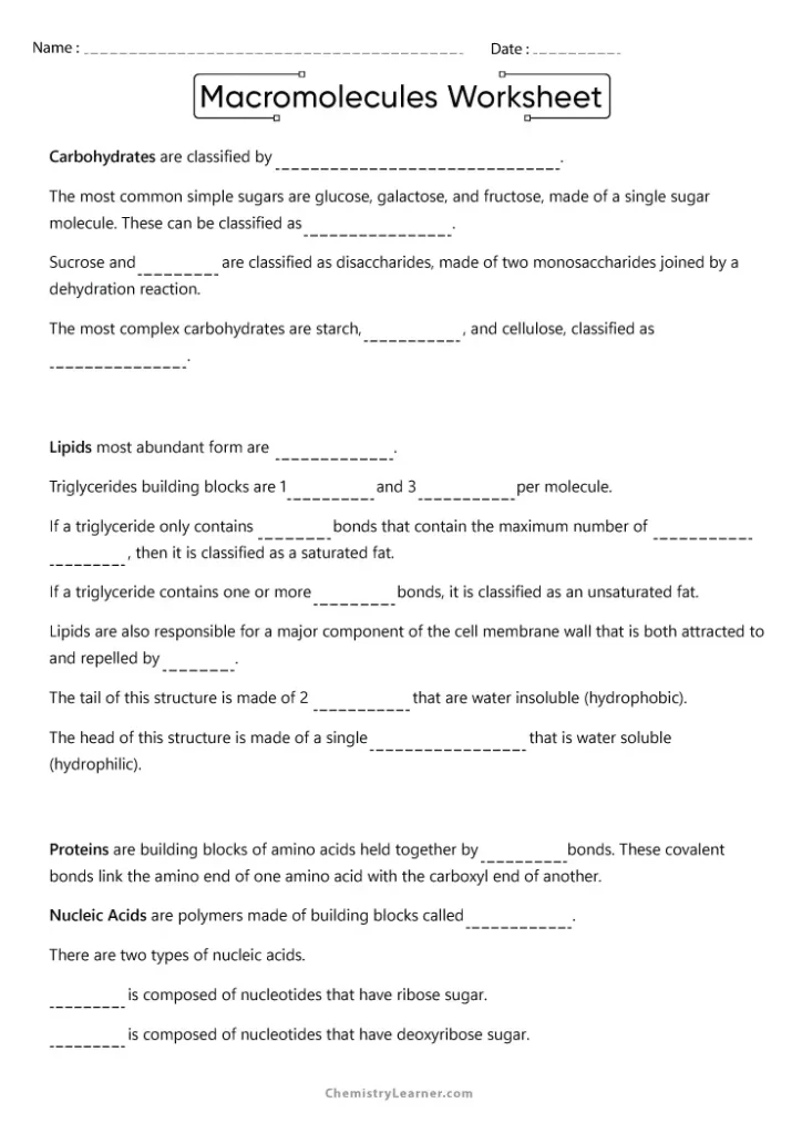 Linking All Biological Macromolecules Worksheet with Answers