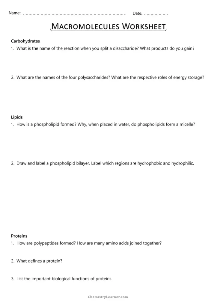 Macromolecules Review Worksheet for Biology with Answers