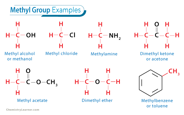 Methyl Group Examples